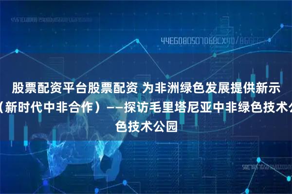 股票配资平台股票配资 为非洲绿色发展提供新示范（新时代中非合作）——探访毛里塔尼亚中非绿色技术公园