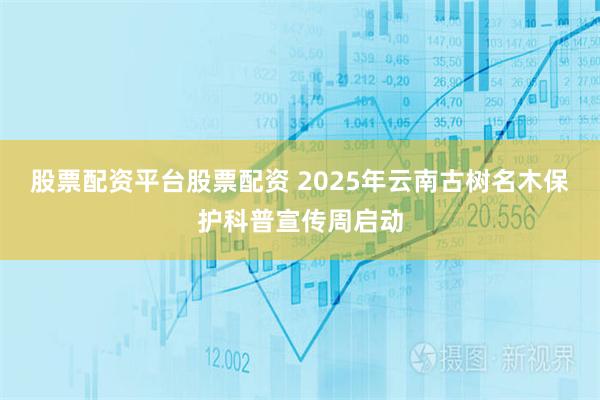 股票配资平台股票配资 2025年云南古树名木保护科普宣传周启动