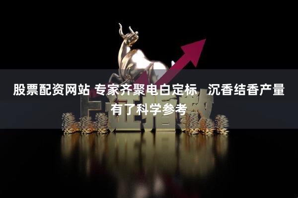 股票配资网站 专家齐聚电白定标   沉香结香产量有了科学参考