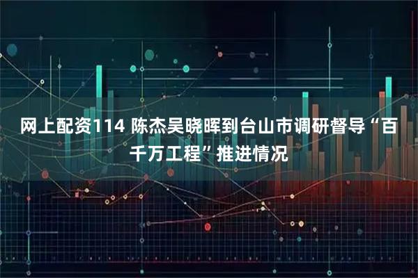 网上配资114 陈杰吴晓晖到台山市调研督导“百千万工程”推进情况